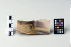 Foto von Holzopal (NHMW-MIN-Ag843)